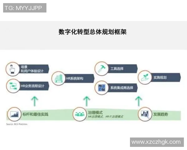 北京篮球队转型之路的挑战与机遇全景解析