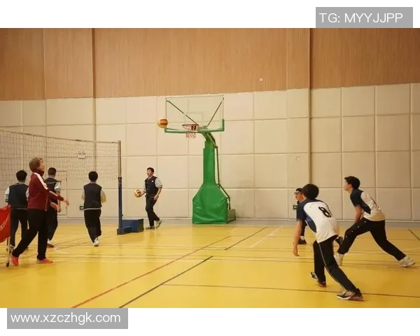 张丽的排球人生深度对话：从赛场到人生的启示与成长之路